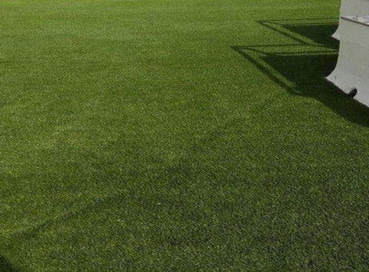 Is Artificial Grass the Solution to Your Lawn Problems